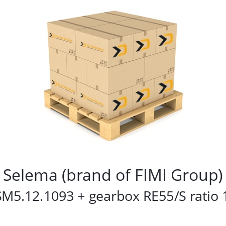   Selema (brand of FIMI Group) DSM5.12.1093 + gearbox RE55/S ratio 1/9