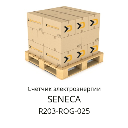 Счетчик электроэнергии R203-ROG-025 SENECA 