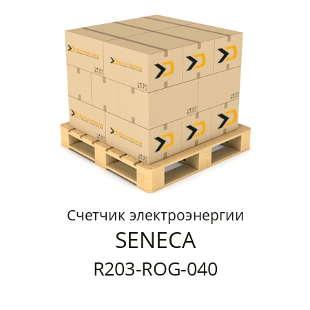 Счетчик электроэнергии R203-ROG-040 SENECA 