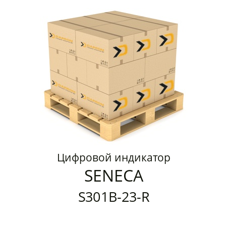 Цифровой индикатор S301B-23-R SENECA 