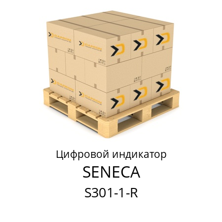 Цифровой индикатор S301-1-R SENECA 