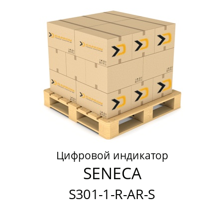 Цифровой индикатор S301-1-R-AR-S SENECA 