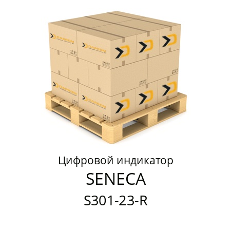 Цифровой индикатор S301-23-R SENECA 