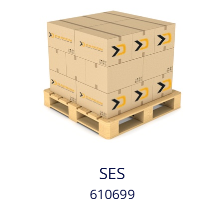   SES 610699