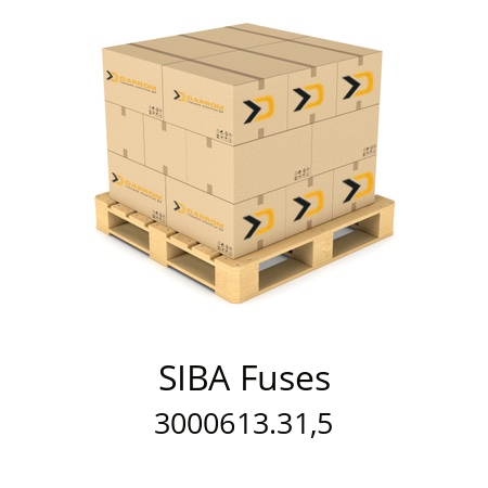   SIBA Fuses 3000613.31,5