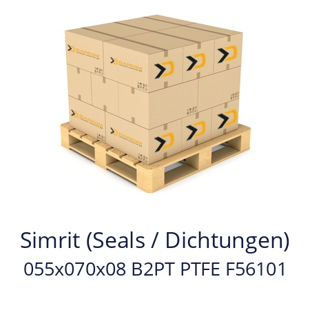   Simrit (Seals / Dichtungen) 055x070x08 B2PT PTFE F56101