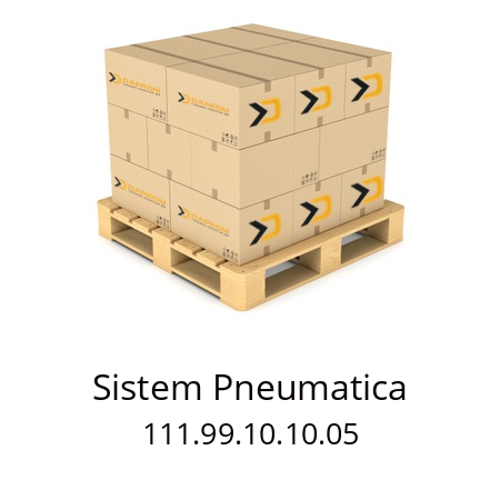   Sistem Pneumatica 111.99.10.10.05