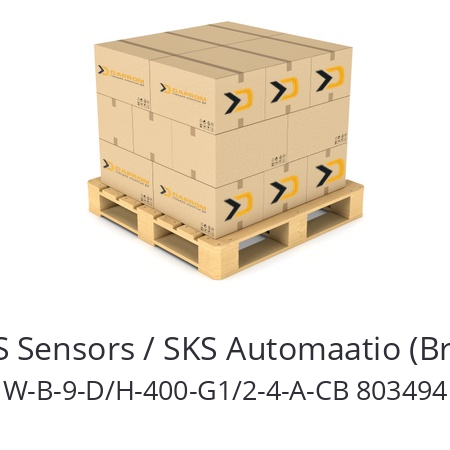   EPIC SENSORS / SKS Sensors / SKS Automaatio (Brand of Lapp Group) W-B-9-D/H-400-G1/2-4-A-CB 803494