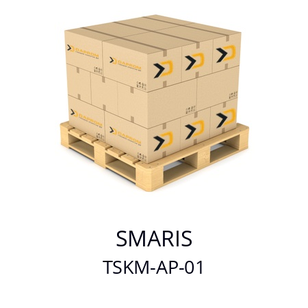   SMARIS TSKM-AP-01