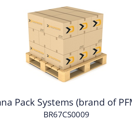   SPS Italiana Pack Systems (brand of PFM Group) BR67CS0009