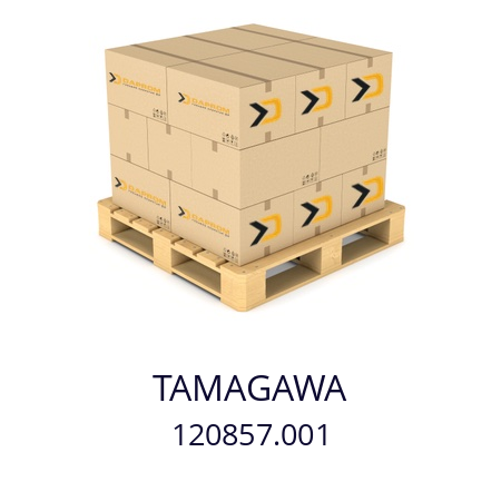  TS2605N1E64 TAMAGAWA 120857.001