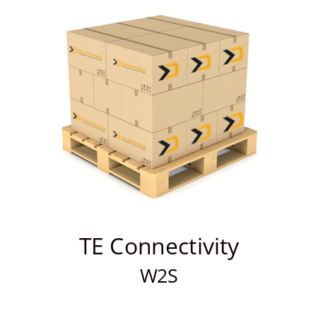   TE Connectivity W2S