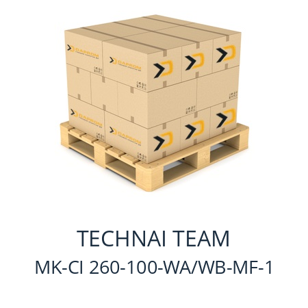   TECHNAI TEAM MK-CI 260-100-WA/WB-MF-1