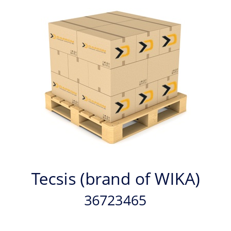   Tecsis (brand of WIKA) 36723465