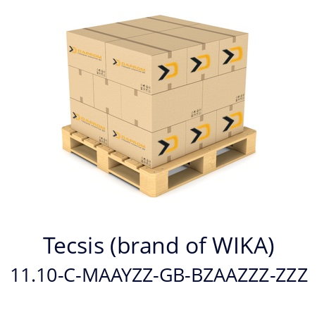   Tecsis (brand of WIKA) 11.10-C-MAAYZZ-GB-BZAAZZZ-ZZZ