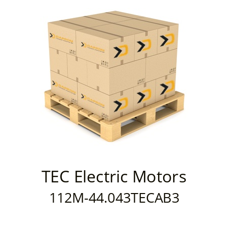  112M-44.043TECAB3 TEC Electric Motors 