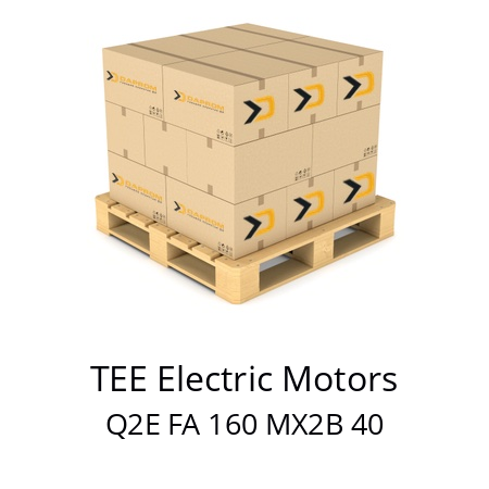   TEE Electric Motors Q2E FA 160 MX2B 40