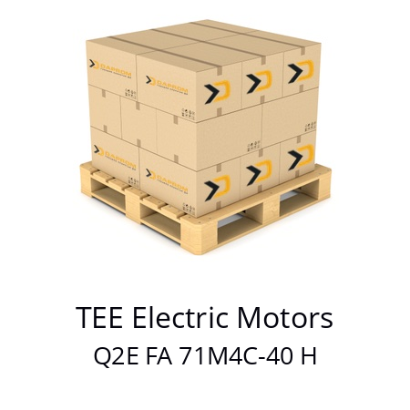   TEE Electric Motors Q2E FA 71M4C-40 H