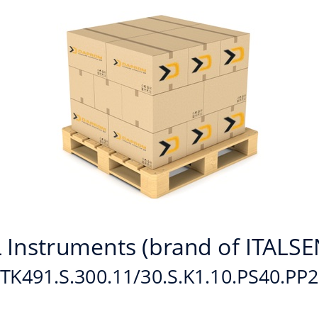   TEKEL Instruments (brand of ITALSENSOR) TK491.S.300.11/30.S.K1.10.PS40.PP2