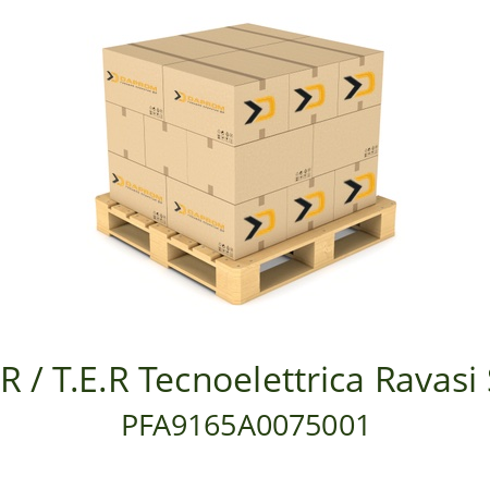   TER / T.E.R Tecnoelettrica Ravasi Srl PFA9165A0075001