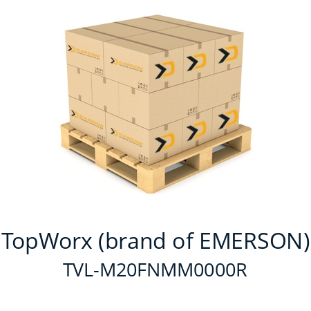   TopWorx (brand of EMERSON) TVL-M20FNMM0000R