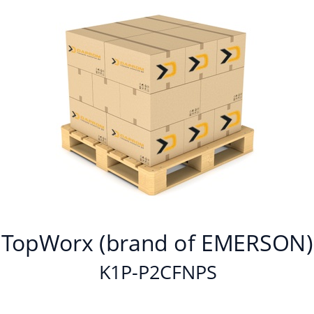   TopWorx (brand of EMERSON) K1P-P2CFNPS