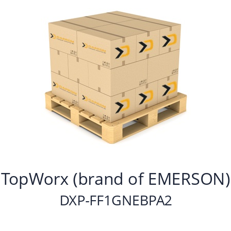   TopWorx (brand of EMERSON) DXP-FF1GNEBPA2