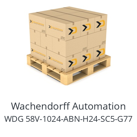   Wachendorff Automation WDG 58V-1024-ABN-H24-SC5-G77