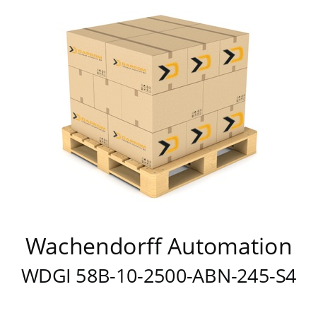   Wachendorff Automation WDGI 58B-10-2500-ABN-245-S4