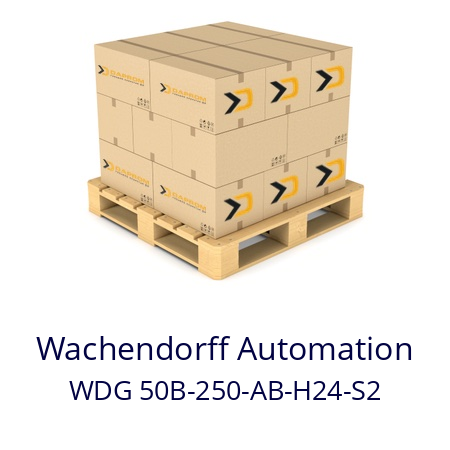   Wachendorff Automation WDG 50B-250-AB-H24-S2