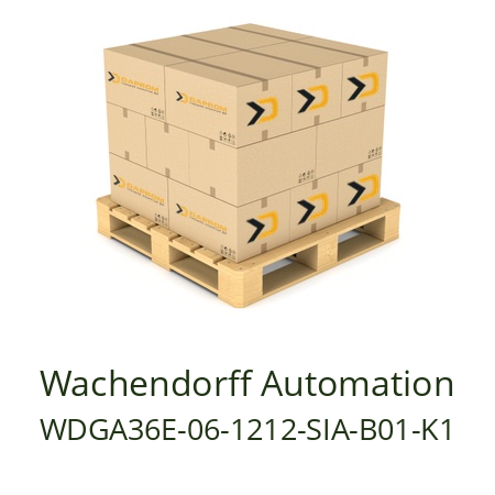   Wachendorff Automation WDGA36E-06-1212-SIA-B01-K1