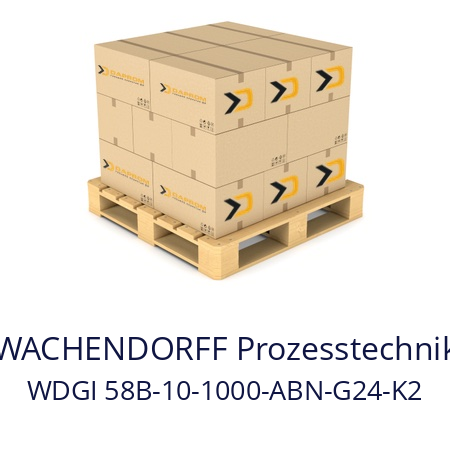   WACHENDORFF Prozesstechnik WDGI 58B-10-1000-ABN-G24-K2