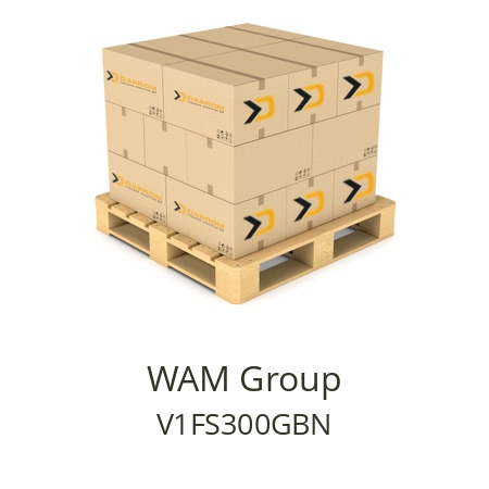   WAM Group V1FS300GBN