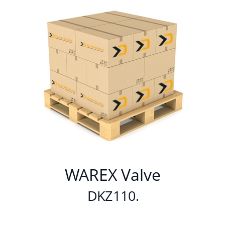   WAREX Valve DKZ110.