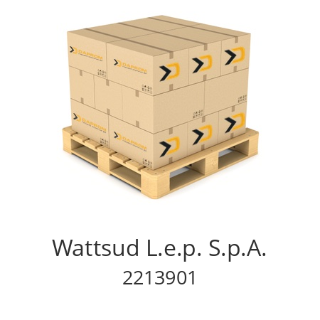   Wattsud L.e.p. S.p.A. 2213901