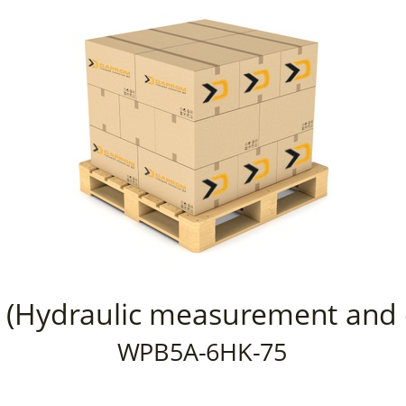   Webtec (Hydraulic measurement and control) WPB5A-6HK-75