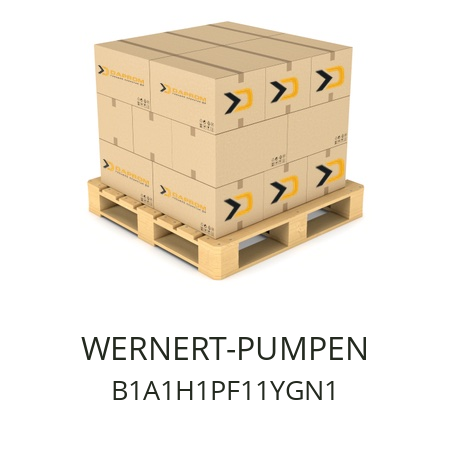   WERNERT-PUMPEN B1A1H1PF11YGN1