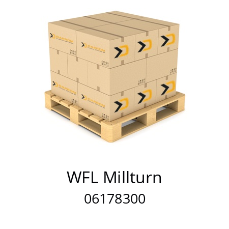   WFL Millturn 06178300