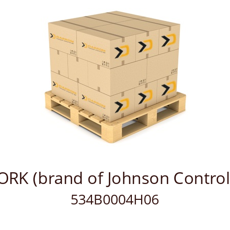   YORK (brand of Johnson Controls) 534B0004H06